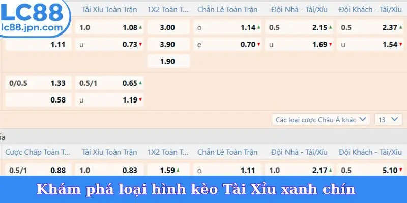 Khám phá loại hình kèo Tài Xỉu xanh chín
